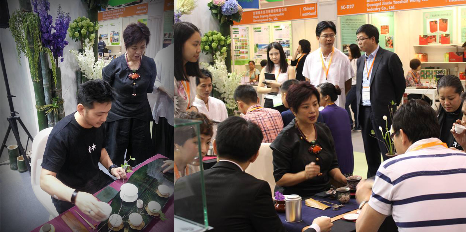 香港茶展 2013